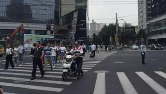 京牌港北京车牌出租如何选对靠谱平台？老司机教你避开三大陷阱