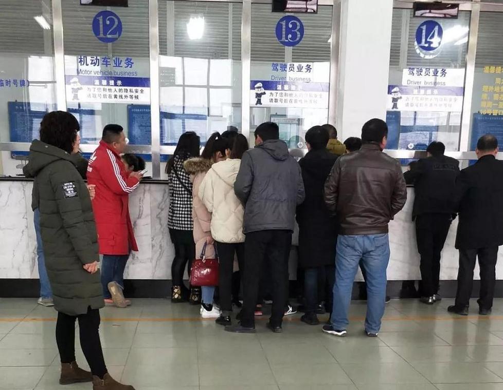 车管所排队人群